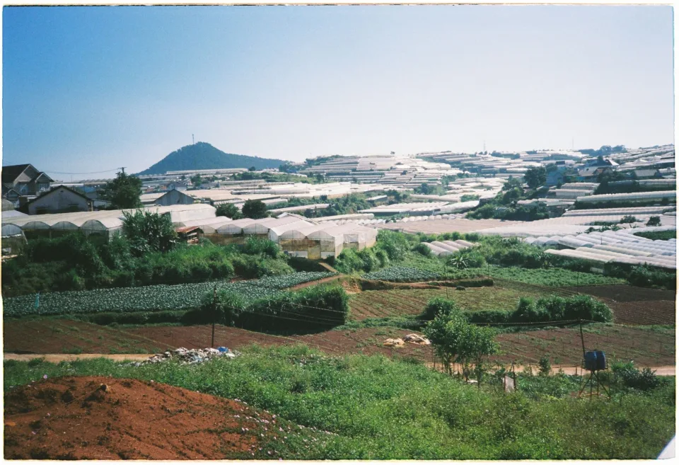Xếp hàng lên xe giao